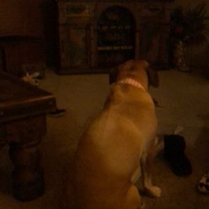 Meet your Posher, Jane